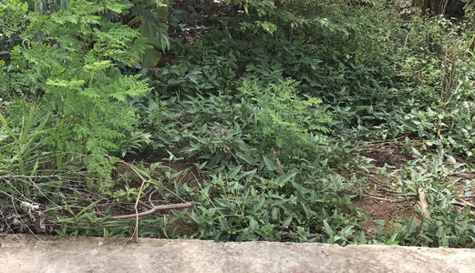 Bán Nền Thổ Cư Hẻm 216 Đường 30/4, Đ Tầm Vu, Ninh Kiều Cần Thơ.