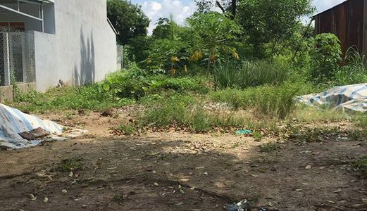 Bán 2 Lô Đất Giá Cực Tốt Ngay Trần Đại Nghĩa, Lh: 0966055274