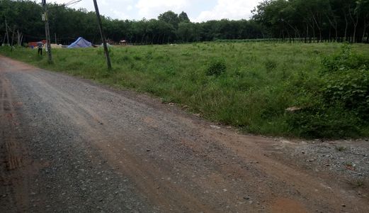 Đất Cạnh Trường Tiểu Học An Lợi - Hòa Lợi Bến Cát Bình Dương