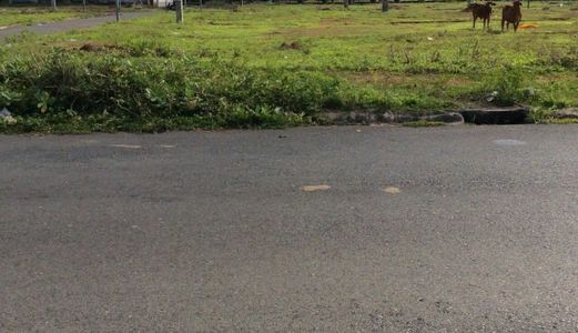Chính Chủ Bán Đất Có Sổ Đỏ Ngay Chợ Trung Tâm Thị Trấn Long Điền, BRVT