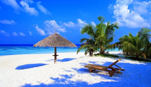 Bán Căn Hộ Chung Cư Tại Celadon City TT 30% Nhận Nhà, Trả Chậm 48th, CK 100tr + Tặng 03 Cây Càng SJ