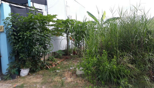 114m2 Đất Thổ Cư Nguyễn Văn Tạo Nhà Bè Giá 13tr/M2 Shr Dân Cư Hiện Hữu, Hẻm Xe Hơi