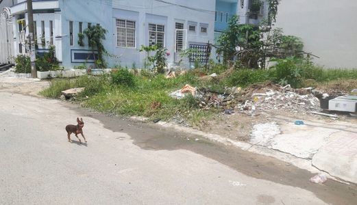 Đất 4.5mx13 Đường Số 9 , Hiệp Bình Phước Giá 1.47 Tỷ , Sổ Hồng Riêng