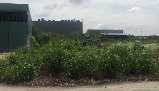 Bán 2 Lô Đất Khu Công Nghiệp Long Hậu, Liền Kề Cảng Hiệp Phước 1,5 Tỷ 