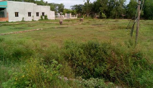 Cần Bán Đất Gấp 135m2 Tại Thị Trấn Đức Hoà - Đức Hòa - Long An.