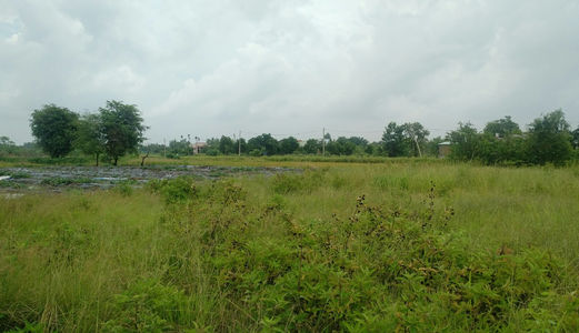 Hụt Tiền Sang Gấp 1197 M2 1tỷ 350 Đường  4c- Đa Phước – Bình Chánh