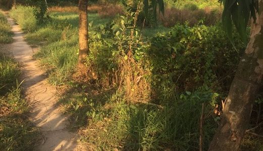 Cần Sang Gấp Lô Đất 85m2 Giá 250 Triệu,Bình Chánh