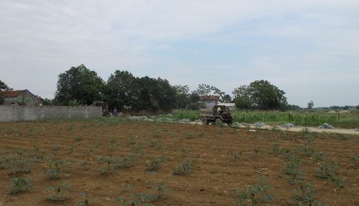 Bán Đất Dt 700m2, Phú Cát, Hòa Lạc, Quốc Oai. Sổ Đỏ, Giá 2.8tr/M2. Miễn Tg