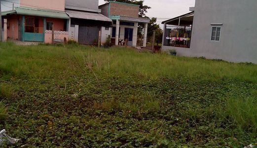 Cần Tiền Cho Con Du Học Nên Bán Gấp Đất 115m2, Tại Ấp Bình Tiền 2, Đức Hoà – Long An.