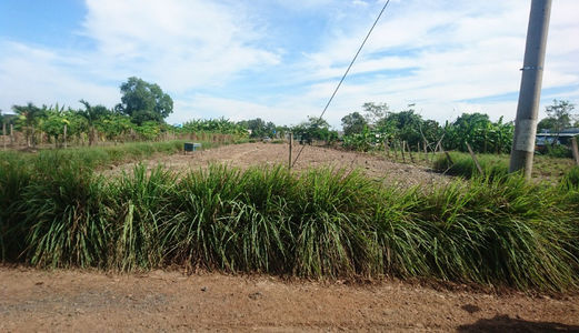 Đất  Bình Chánh,1260 M2 Đường Tân Liễu, Giá 2.1tỷ, Đất Đẹp, Chính Chủ, Shr