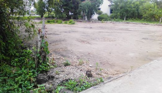 3,2tr/M2,1350m2 Đất Đường Liên Ấp 4-5, Đất  Bình Chánh.