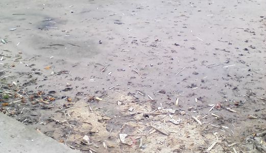 Cần Bán Gấp Đất Thổ Cư Bình Chánh 1150m2, 2.2tr/M2, Đường Hưng Lộ 11, Quy Đức