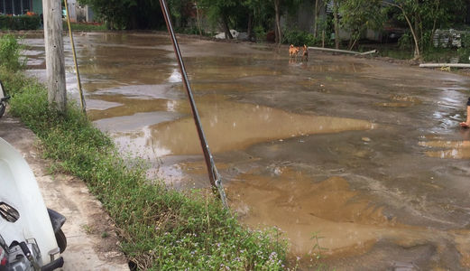 Đất Nền Huỳnh Tấn Phát Nhà Bè, Sổ Đỏ Riêng, Xd Tự Do