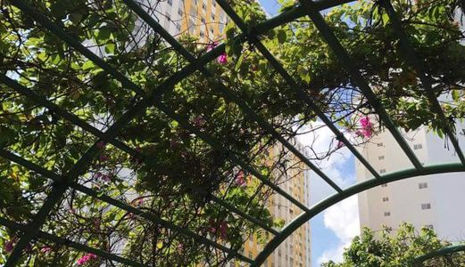 Cho Thuê Căn Hộ Cao Cấp City Gates Towers Quận 8 Tp Hcm