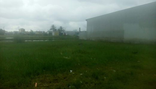 Đất Xưởng Mặt Tiền Tỉnh Lộ 10 Giá Hợp Lý Chỉ Từ 2 Triệu M2 Đức Hòa Long An