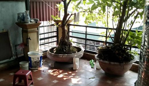 Cần Tiền Bán Gấp Nhà  56m2, 2.9 Tỷ  Ngõ 155  Trường Chinh- Thanh Xuân.