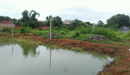 Bán 5,5 Sào Đất Vườn, Gần Chợ Duy Hòa. Cách Quốc Lộ 14 200m.