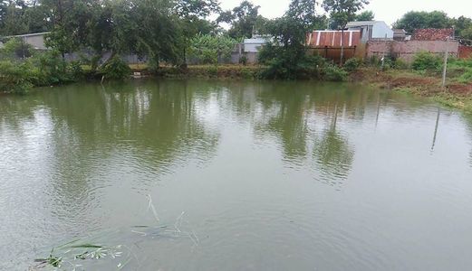 Bán 5,5 Sào Đất Vườn, Gần Chợ Duy Hòa. Cách Quốc Lộ 14 200m.