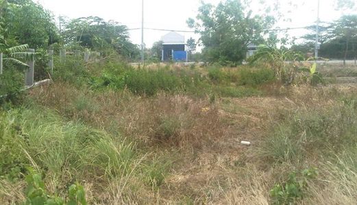 Bán 3500 M Đất Mặt Tiền Liên ấp 3-4-5, Ngay Góc Tân Liêm, Ngang 60 M, Giá 2,7 Tr/ M2