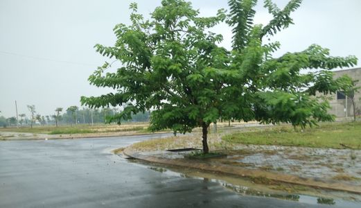 Bán Đất Giá Rẻ-Chỉ 369 Triệu/Nền- Cạnh COCOBAY-Ven Biển Nam Đà Nẵng