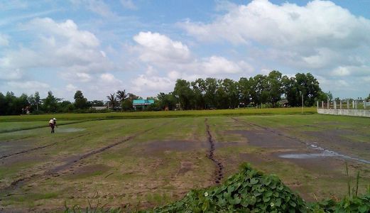 Cần Bán Đất Gấp 850m2, Tại  p Bình Tả 1, Đức Hoà – Long An.