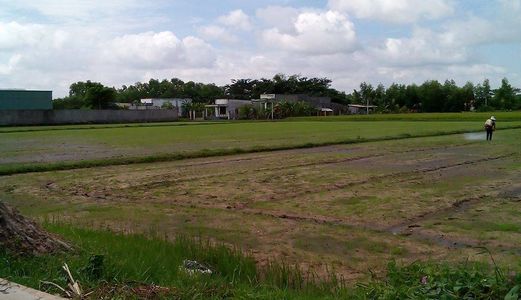 Cần Bán Đất Gấp 850m2, Tại  p Bình Tả 1, Đức Hoà – Long An.