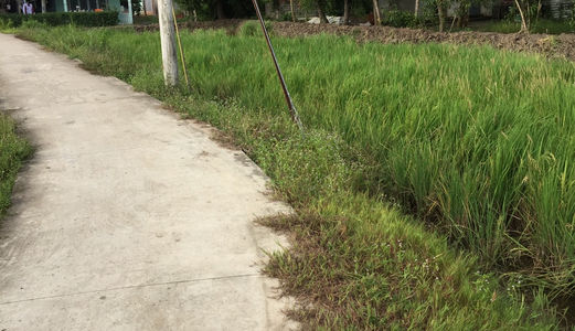 Sang Gấp 1500 M2 Đất Xã Qui Đức, Huyện Bình Chánh