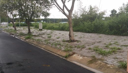 Lô Góc 2 Mt, Sổ Đỏ, Đường Số 7- Kdc Cát Lái, Q.2