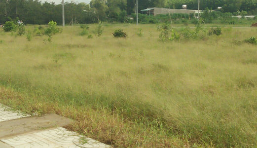 Bán Đất Ngay Khu Công Nghiệp Giang Điền