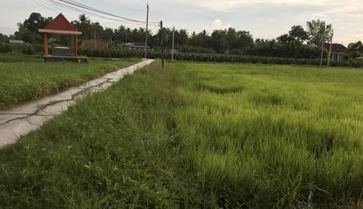 Cần Bán 6100 Đất Giáp Đường Dan 2 Bên Đất