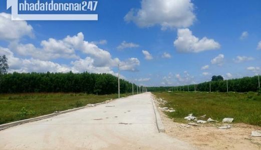 Cần Bán Gấp Lô Đất Mặt Tiền Long Phước Long Thành 