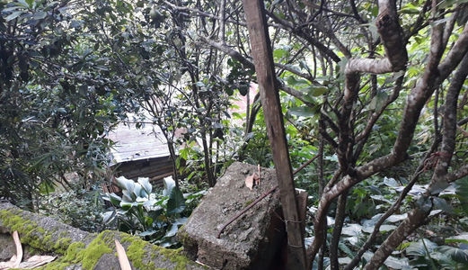 Bán Đất View Cao, Thoáng, Đẹp Đường Đống Đa - P3 - TP Đà Lạt