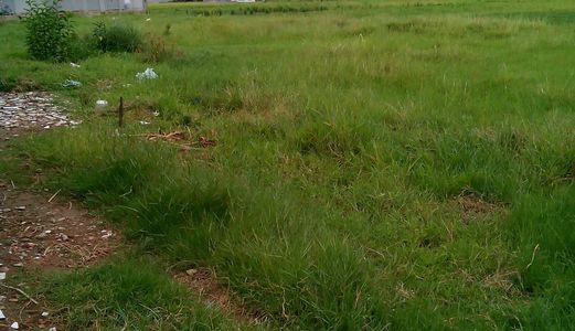 Cần Bán Đất 100m2, Tại Ấp Bình Tiền 1, Đức Hoà – Long An.