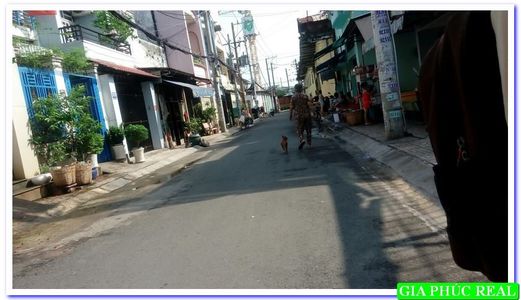 Nhà 1 Tấm Đẹp Hẻm(8m) 237/... Hòa Bình-Dt:6,2x14m-Giá:5,55 Tỷ Tl