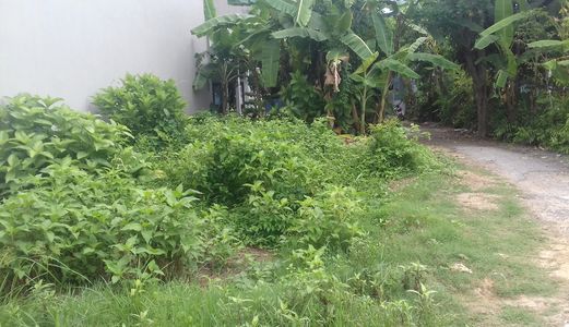 Chuyển Nhượng Lô Đất 68m2 Thổ Cư Đường Ô Tô Dương Thiệu Tước Cách Trường Âu Lạc 300m