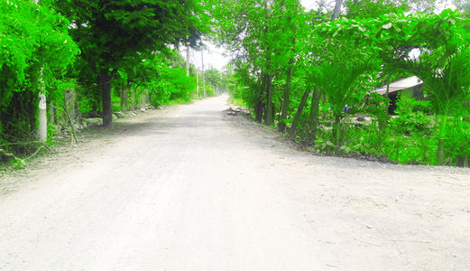 Cần Bán 1600m2 Đất Khu Dân Cư Tân Qúy Tây Bình Chánh. 0903078370