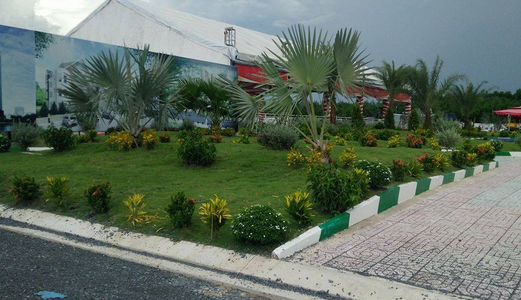 Chương Trình Km-Giá Cực Ưu Đãi. Đất Nền Q2 Chỉ Với 10tr/M2-Shr-Gần Tthc&Tttm!!!