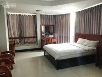 Chính Chủ Cho Thuê Phòng Chung Cư Mini Q5, Gần Chợ An Đông