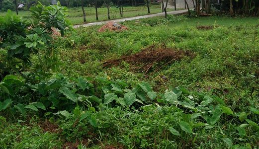 Bán Đất Cách Bến Xe Phía Nam 250m, Giá 365/68,3m2