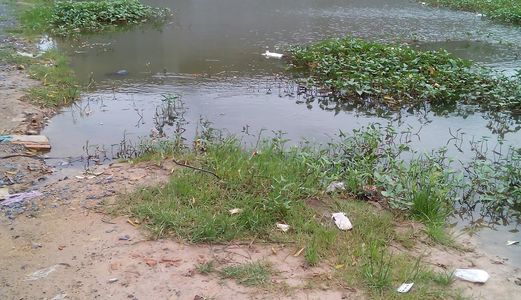 Cần Bán Đất 600m2, Tại Ấp 5 Đức Hoà Đông, Đức Hoà – Long An.