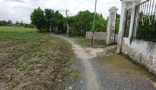 Chú Sáu Bán Gấp 1000 M2 Đường Nhánh Liên Ấp 4-5- Đa Phước – Bình Chánh