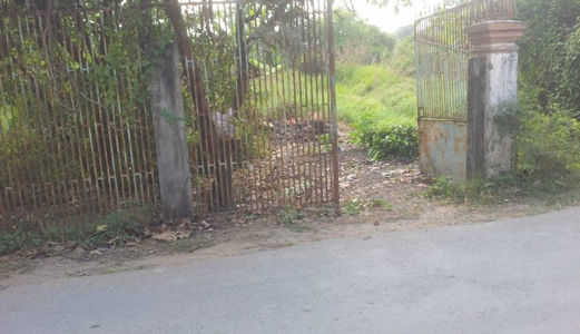 Bán Gấp 1900m2 (300 Tc) Đường Tân Liễu Xã Hưng Long Bình Chánh.