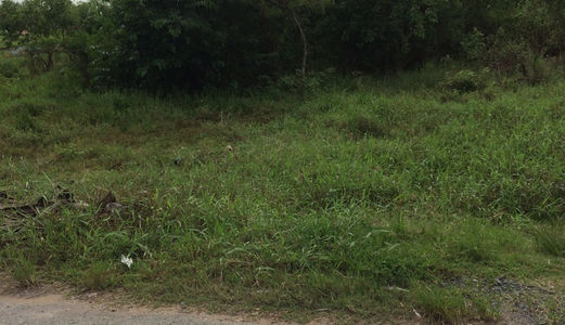 Bán Gấp 1000m2 Đất, Giá: 1,350 Tỷ Đường Liên Ấp 4-5 Xã Đa Phước, Bình Chánh