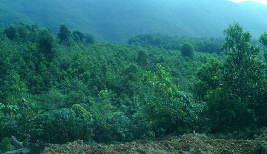 Đất Rộng Với 2000m Thổ Cư