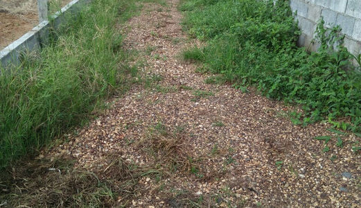 Cần Bán Đất Xã Bình Lợi, Vĩnh Cửu, Đồng Nai