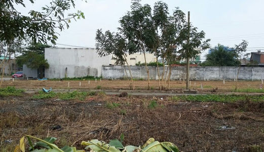 Đất Nền Mặt Tiên Đường Nguyễn Cửu Phú Sổ Riêng