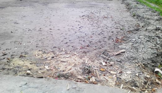 Đất  Bình Chánh,1170 M2 Đường 4C, Giá 2, 85 Tỷ, Đất Đẹp, Chính Chủ, SHR