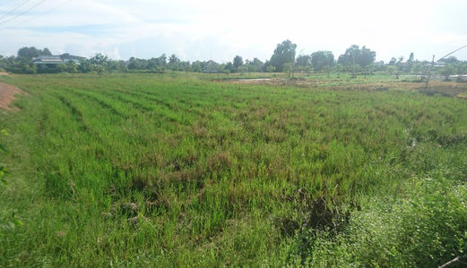 Đất  Bình Chánh 1000m2, 1.35tr/M2, Đường Liên Ấp 4-5, Đa Phước, Bình Chánh