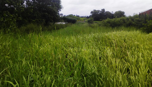 3,2tr/M2,1350m2 Đất Đường Liên Ấp 4-5, Đất  Bình Chánh.