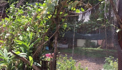 Đất Nền Phường Hiệp Bình Phước, Thủ Đức. 1,180 Triệu Thổ Cư 50m2 Diện Tích 80m2  Dân Cư Tri Thức